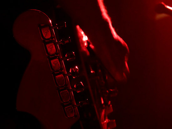 Blue Haze H&auml;ns Pup Ellenfeld 25.04.09