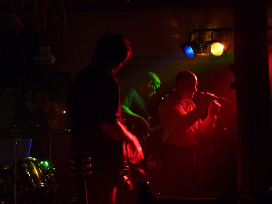 Blue Haze H&auml;ns Pup Ellenfeld 25.04.09