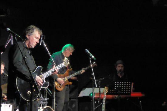 Blue Haze Weiden Salute-Club 2017